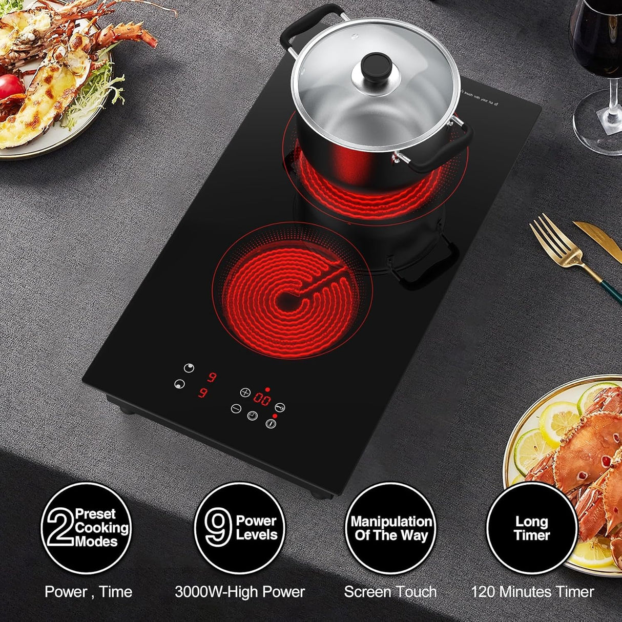 3000W Two Burner Electric Cooktop with Built-in & Countertop Portable Design