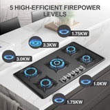 5 Burner Propane Gas Cooktop with Stainless Steel